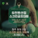코앞스크린골프