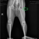 우장산동물의료센터 이미지