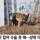 기다리다 이미지