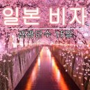 DK국제여행사