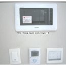 비즈트위트 그린 이미지