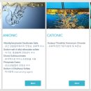 프로켐(주) 이미지