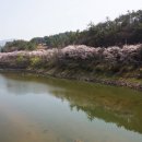 용덕천 이미지