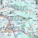 함안 영동리 회화나무 이미지