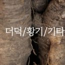 이절농원