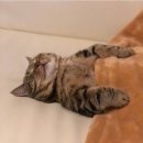 코인싱어 동전노래연습장(목대점) | 💦대전 흠뻑쇼 D-Day