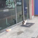 셀렉토커피 소사역점 이미지