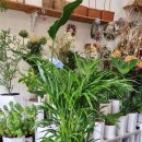 KT동래지사 이미지