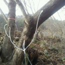 살둔정보화마을 이미지