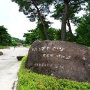 용인시박물관 (구 용인문화유적전시관) 이미지