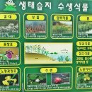 상수청정