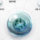 썬-바이오 이미지