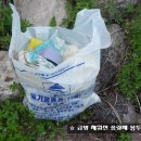 향토마을 Daum카페
