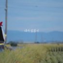 시골소풍 이미지