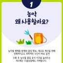 큐스타