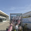 통일슈퍼 | 제주 핑크 감성 카페 💗 사진 맛집 슈퍼플라워 방문 후기