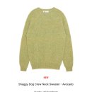 짐에이치핏 | 일상 + 대전당일치기 (hacer,h8,mmp,suamar)