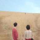 홍주유치원 이미지