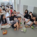 오늘은 태권도 이미지