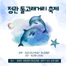 거북이동네 부산정관점 | 부산 기장 정관 10월 행사안내 :: 정관 돌고래거리 오프닝페스타 (+주차안내, 행사일정)