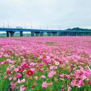 여주공인중개사사무소 이미지