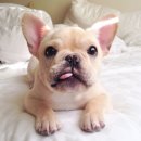 울산동물병원 이미지