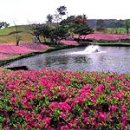 우정힐스컨트리클럽 이미지