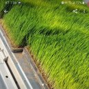 당근 PC방 이미지