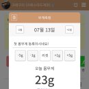 게코모아