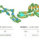 화랑골프샵 이미지