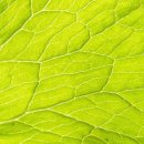 미수 해양공원 | 당일치기 수상레저 물놀이 통영해양관광공원물놀이장 솔직후기