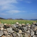 추봉보건진료소 이미지