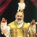 (주)비오 이미지