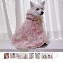 럭셔리하개 이미지