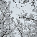 목화공원주차장 이미지