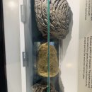 마그마영어학원