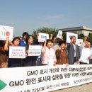 더이상 GMO의 침략을 허용할 수 없다. 배를린 수만 명 GMO 반대시위 이미지