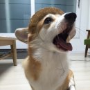 신창약국 이미지