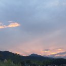 주식회사 하늘조경 네이버블로그