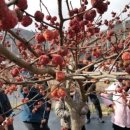 한울농원 이미지