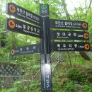 정진사 이미지