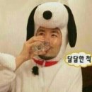 보쌈백프로 이미지