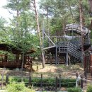 동강글램핑 이미지