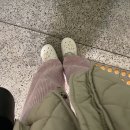 11월, 내가 저지른 김장