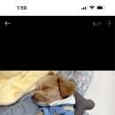 멍동이네 네이버블로그