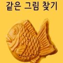 ﻿같은그림찾기 이미지