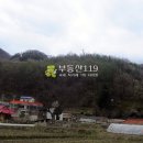 충북 충주시 앙성면 용포리 / 임야 야산, 수목장부지 묘목재배용지 전원주택용지 문중묘지용지 과수원부지 / 2 이미지