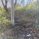 유마사 보안교 | 산행후기_mr.j 8 화순 모후산 4