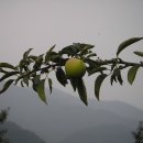 세월보건진료소 이미지