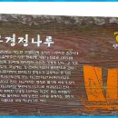 세도 다근진나루 및 구경정 티스토리